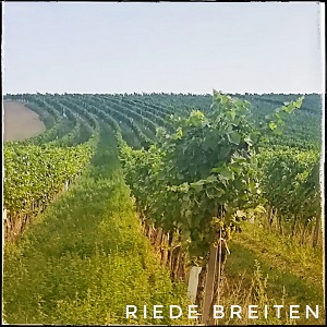 Riede Breiten