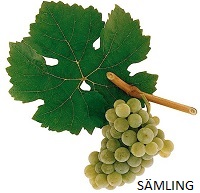Saemling