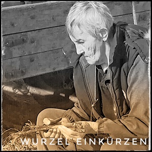 Wurzel schneiden