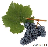 Zweigelt